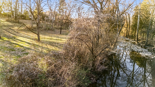 view of landscape featuring a forest view