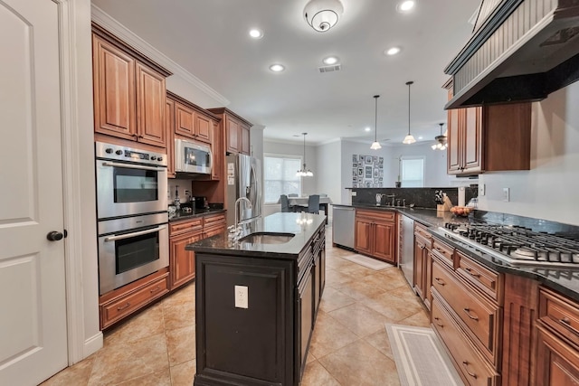 kitchen featuring visible vents, appliances with stainless steel finishes, ventilation hood, and a sink