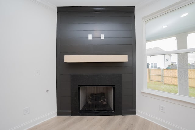 room details featuring a large fireplace, baseboards, and wood finished floors