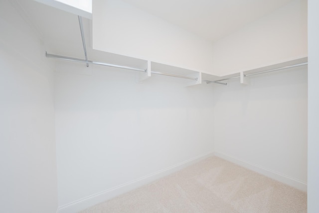 spacious closet with carpet floors