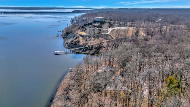 bird's eye view with a water view and a view of trees