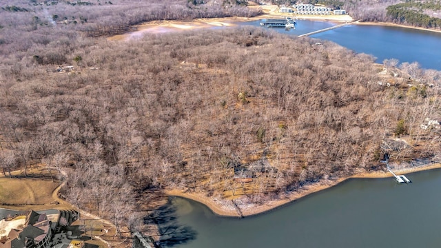 412 Keck Ln, Buchanan, TN 38222 - photo 21