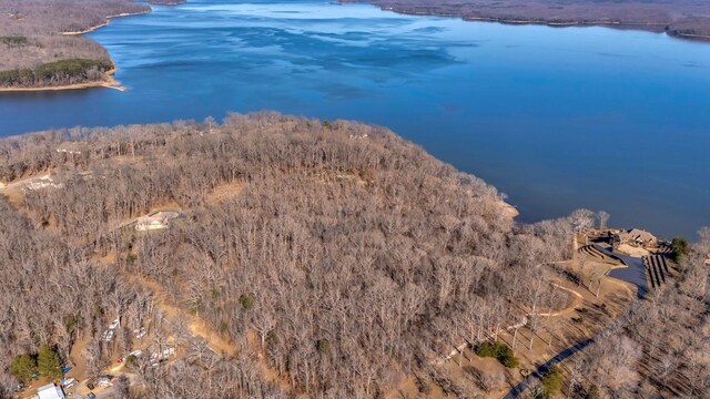412 Keck Ln, Buchanan, TN 38222 - photo 23