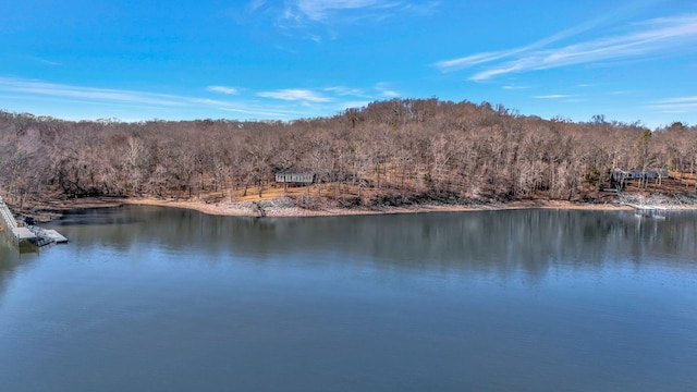 412 Keck Ln, Buchanan, TN 38222 - photo 13