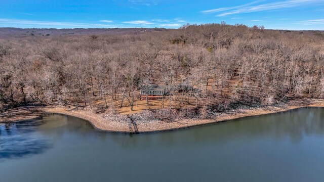 412 Keck Ln, Buchanan, TN 38222 - photo 6