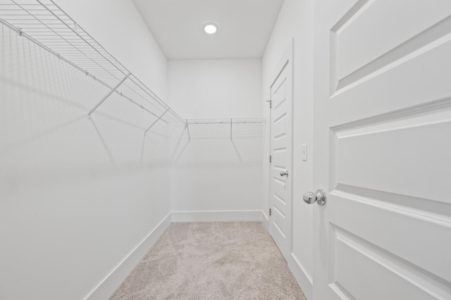 spacious closet featuring carpet flooring