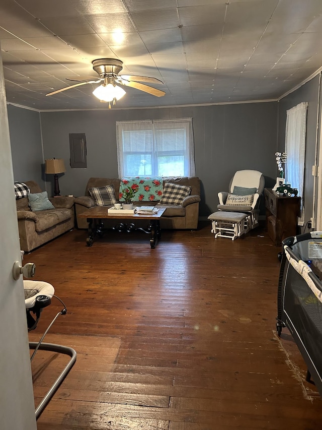 living area featuring wood-type flooring, ceiling fan, and crown molding