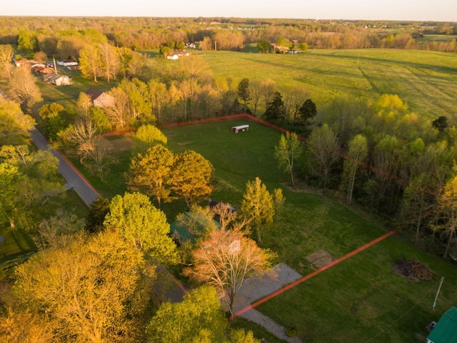 849 Jack Porter Rd, Lafayette, TN 37083 - photo 6