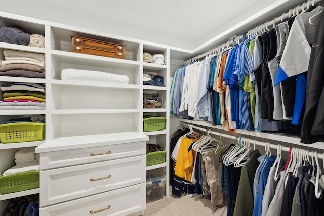 walk in closet with carpet floors