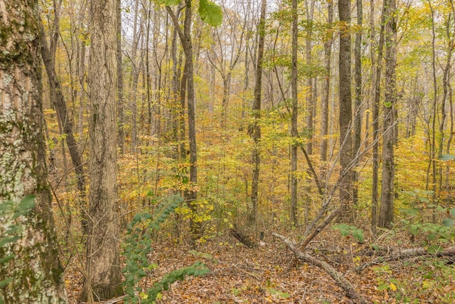 view of local wilderness with a view of trees