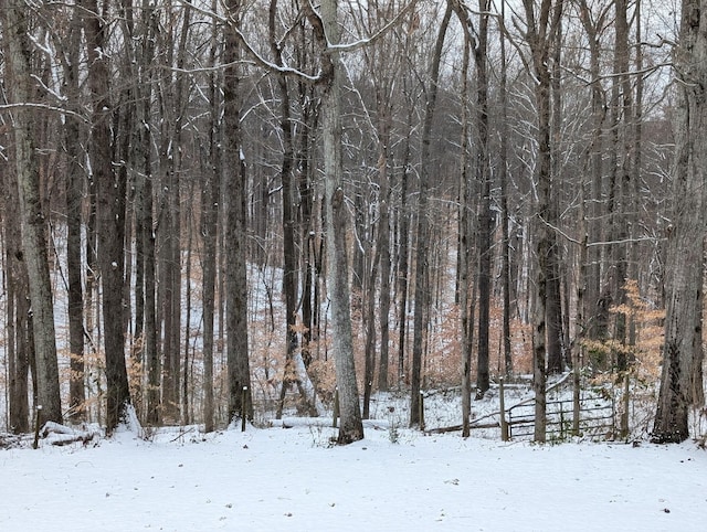 view of snow covered land featuring a forest view