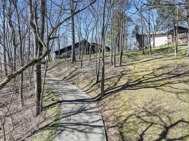 view of road featuring driveway