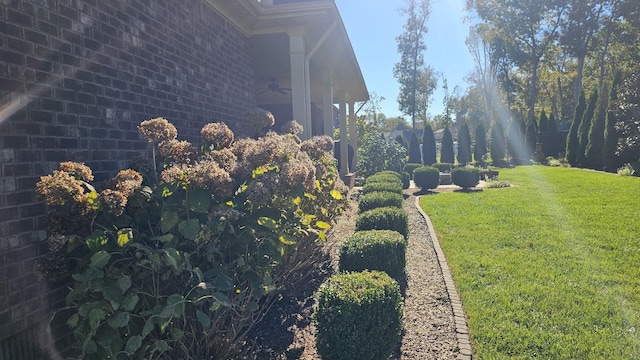 view of yard with ceiling fan