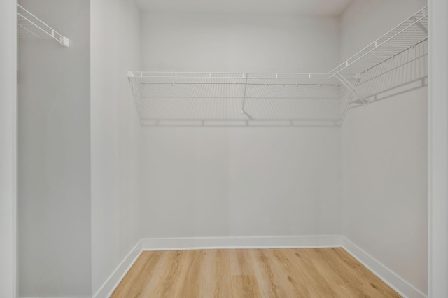 walk in closet with light wood finished floors