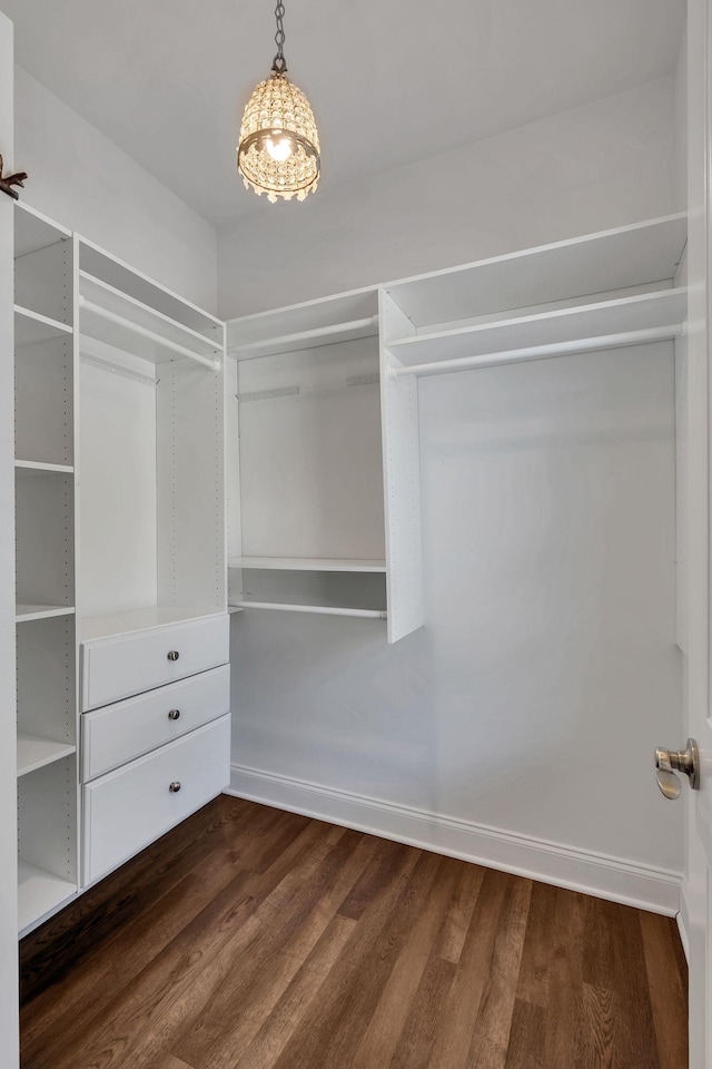 spacious closet with dark wood-style flooring