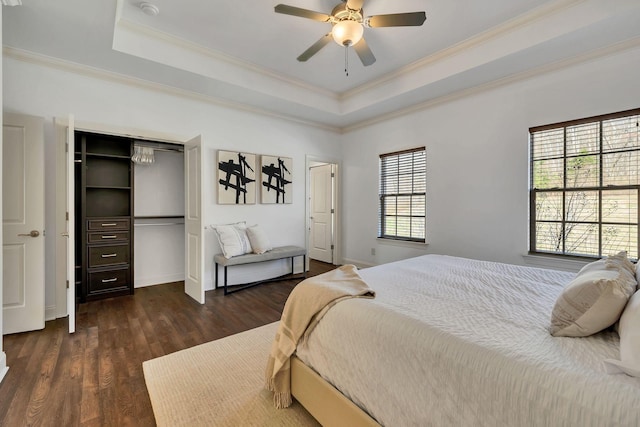 bedroom featuring crown molding, a tray ceiling, dark wood finished floors, and ceiling fan