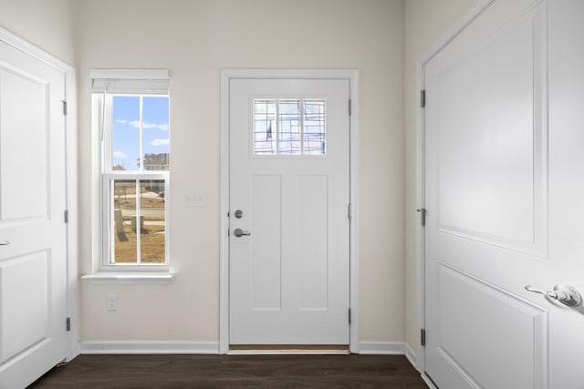 foyer entrance with dark wood-style floors, baseboards, and a healthy amount of sunlight