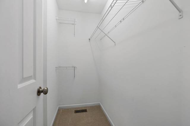 spacious closet with carpet and visible vents