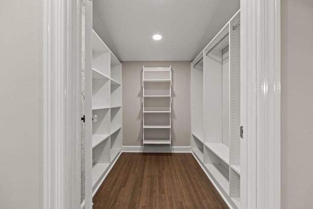 spacious closet featuring dark wood-type flooring