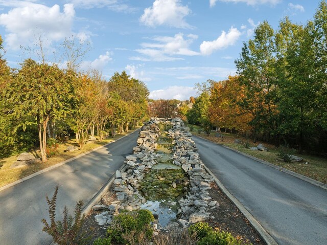 view of road with curbs