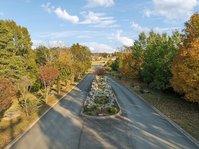 view of street featuring curbs