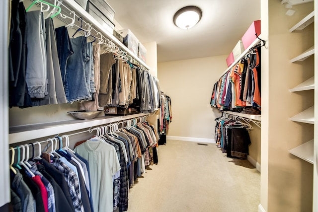 walk in closet with carpet floors