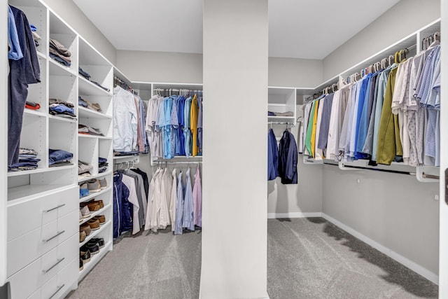 spacious closet with carpet flooring