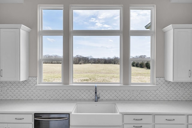 kitchen featuring plenty of natural light, light countertops, a sink, and stainless steel dishwasher