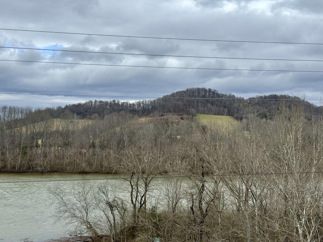 view of water feature featuring a view of trees