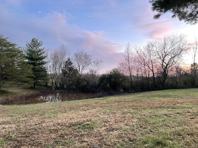 view of yard at dusk