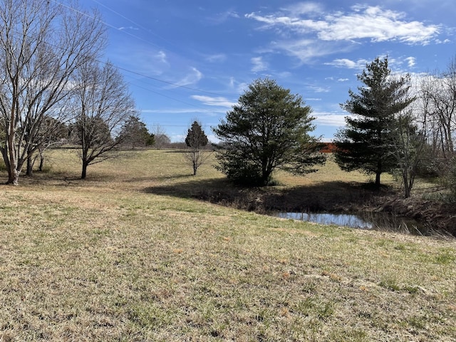 view of yard with a water view