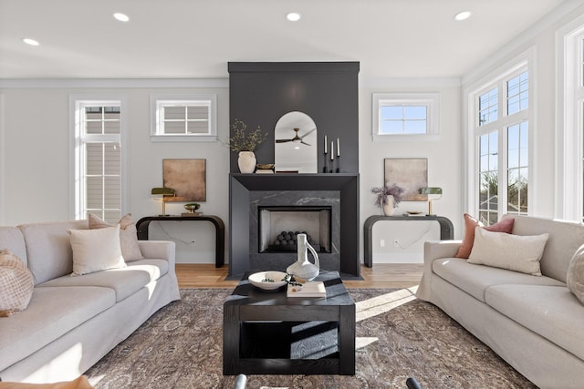 living room featuring a premium fireplace, wood finished floors, and recessed lighting