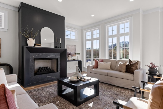 living room featuring a fireplace, wood finished floors, and recessed lighting