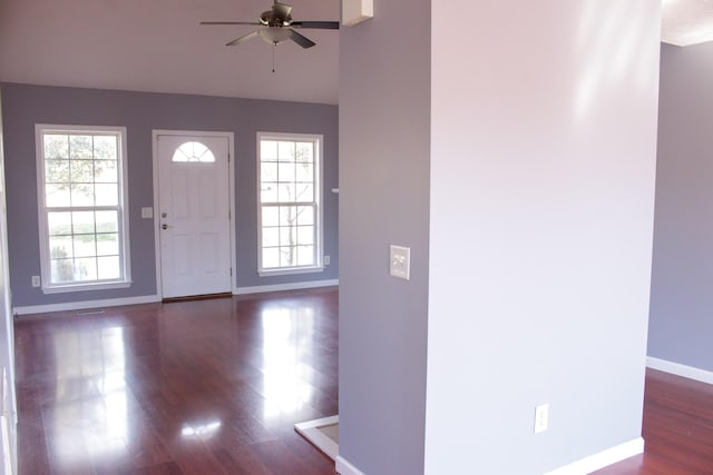 entrance foyer featuring a ceiling fan, wood finished floors, a wealth of natural light, and baseboards