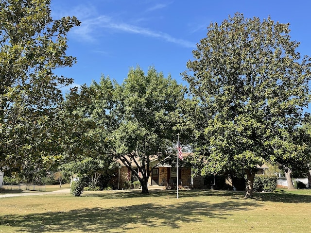 113 Briarwood Dr, Greenbrier, TN 37073 - view of grassy yard