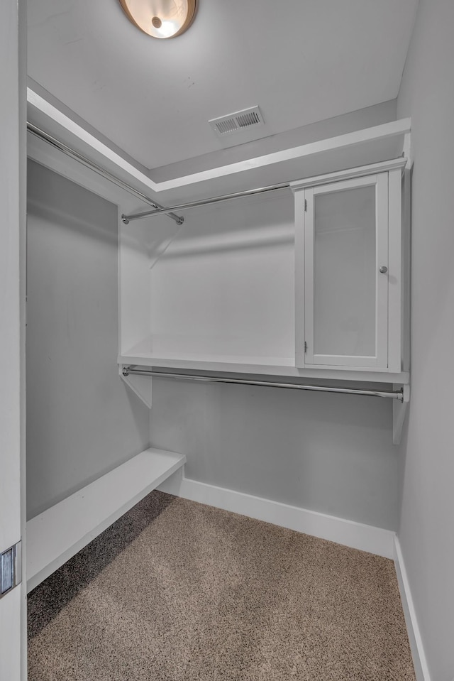 spacious closet featuring visible vents and carpet flooring