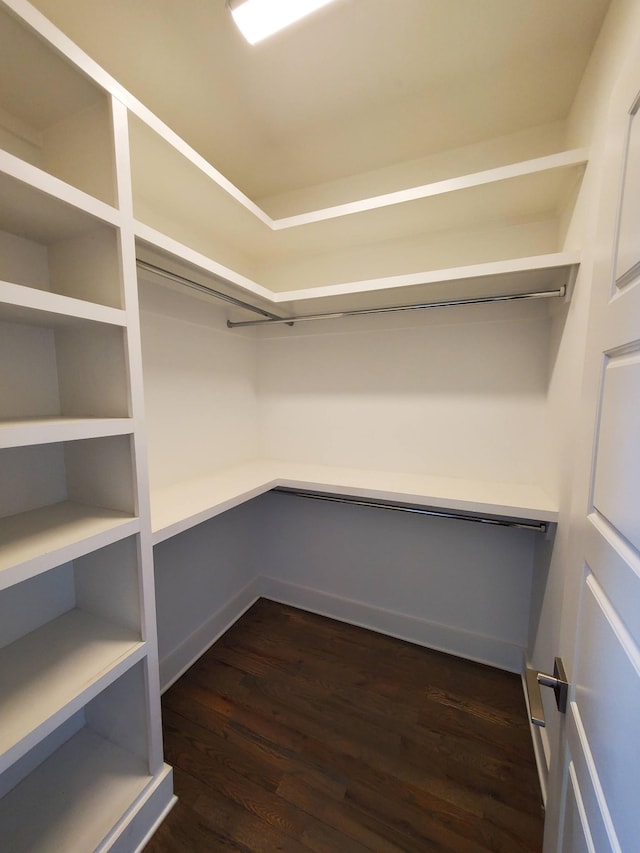 walk in closet featuring dark wood-type flooring