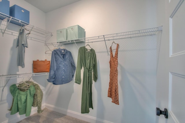 walk in closet featuring carpet floors