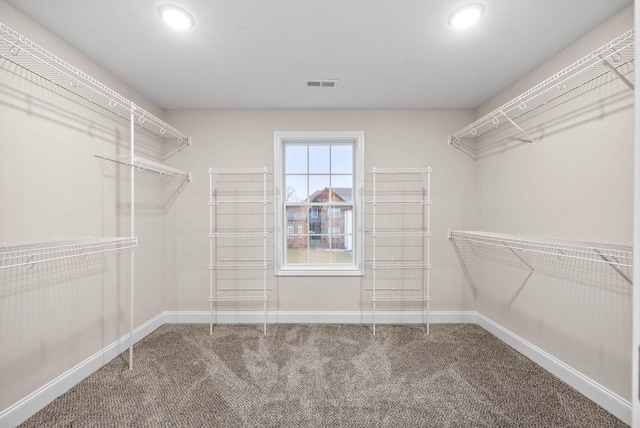 walk in closet with visible vents and carpet floors