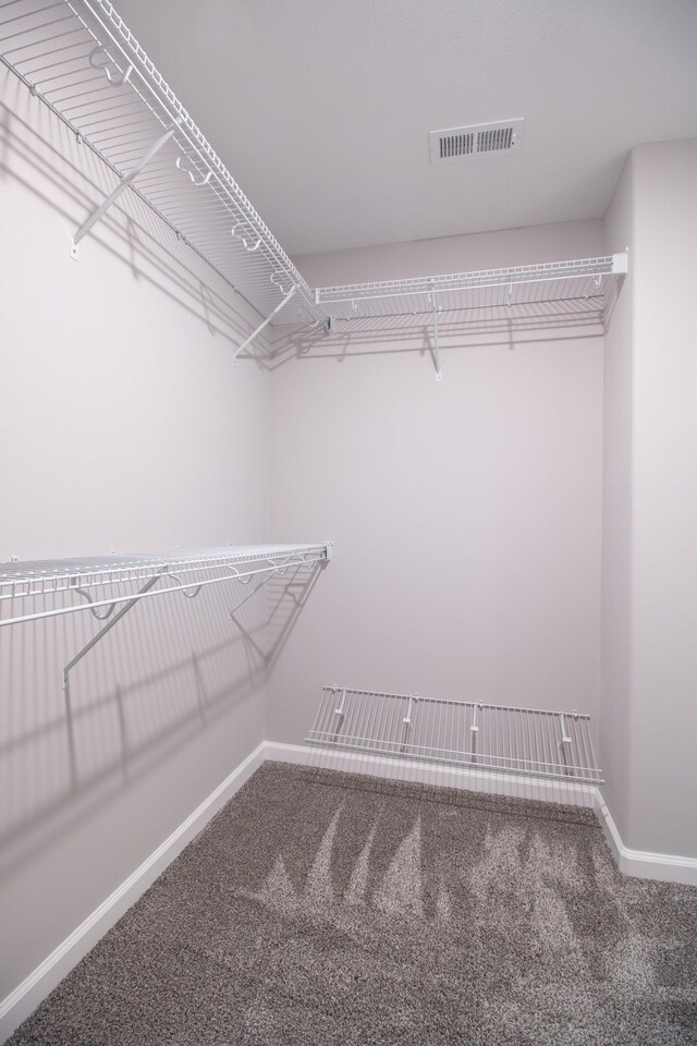 spacious closet with carpet flooring and visible vents