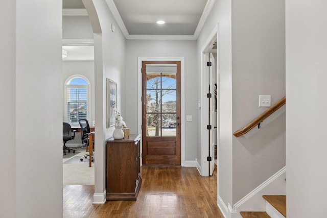 foyer entrance with crown molding, a wealth of natural light, and wood finished floors