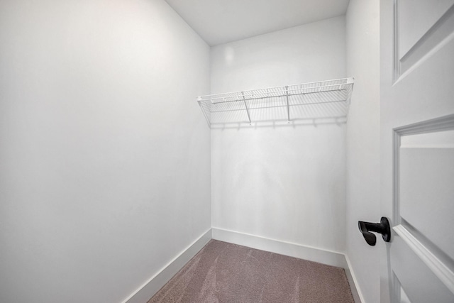 spacious closet with dark colored carpet