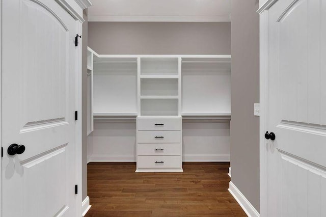 walk in closet with dark wood-type flooring