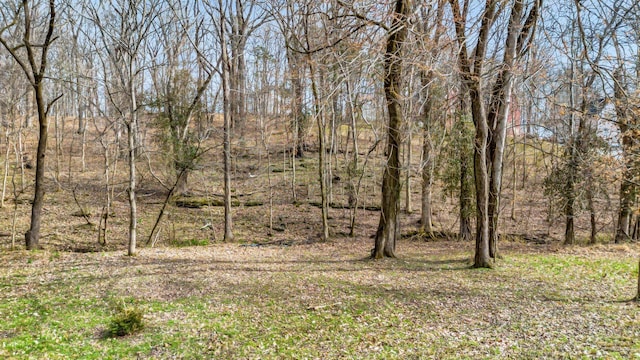 108 Lakeside Park Dr, Hendersonville TN, 37075 land for sale