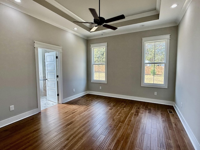 empty room featuring a tray ceiling, dark wood finished floors, and a wealth of natural light