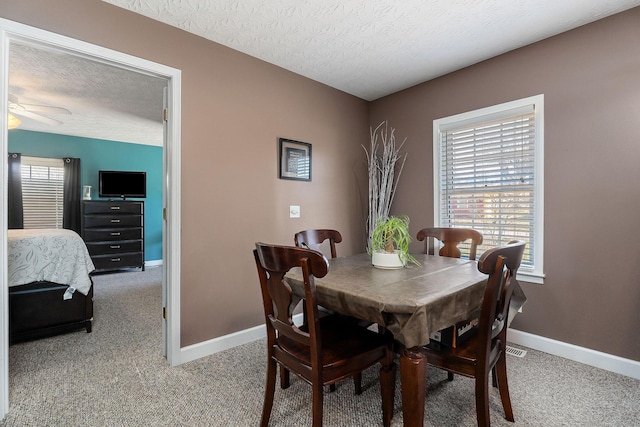 dining area featuring a textured ceiling, baseboards, and a wealth of natural light