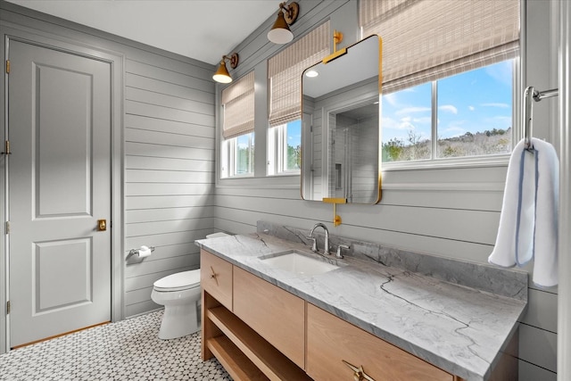 bathroom featuring toilet, wood walls, and vanity