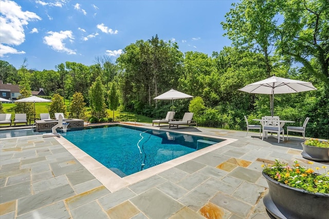 9289 Fordham Dr, Brentwood, TN 37027 - swimming pool featuring a patio