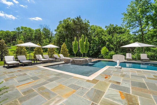 9289 Fordham Dr, Brentwood, TN 37027 - view of swimming pool with a patio and a pool with connected hot tub