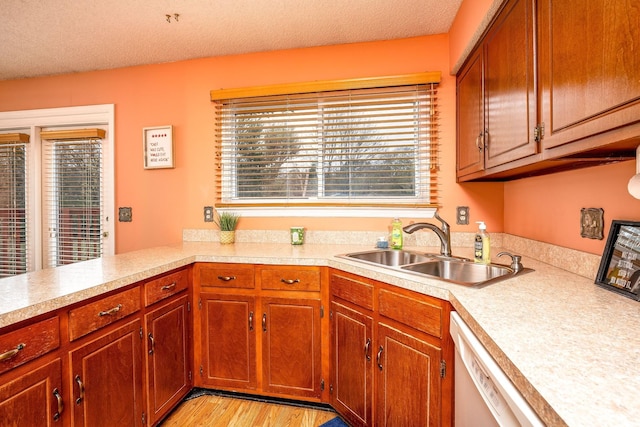 kitchen with a textured ceiling, light countertops, light wood-type flooring, and a sink